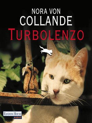 cover image of Turbolenzo